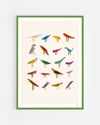 Image 3 of catalogue d'oiseaux giclée print