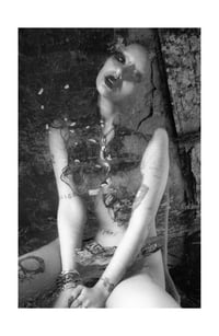 La vérité est toujours plus sombre 