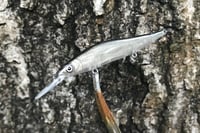Image 11 of  Custom Airbrushed Jerkbait BFS 110 + Mini 6366