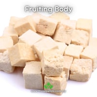 Image 2 of Fu Ling (Wolfiporia Extensa/Poria Cocos) Live Mycelium Mushroom Culture Spawn Seed