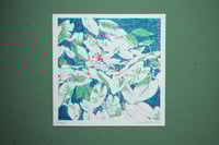 Image 1 of Plantasia