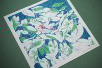 Image 2 of Plantasia