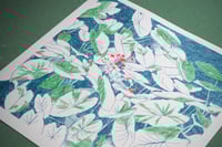 Image 3 of Plantasia