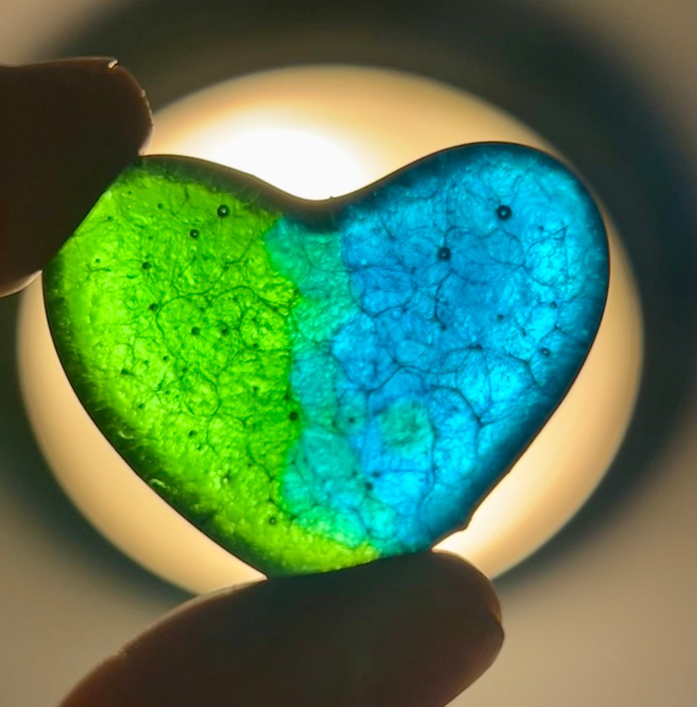 Image of HEARTS ❤️🧡💛💚💙💜