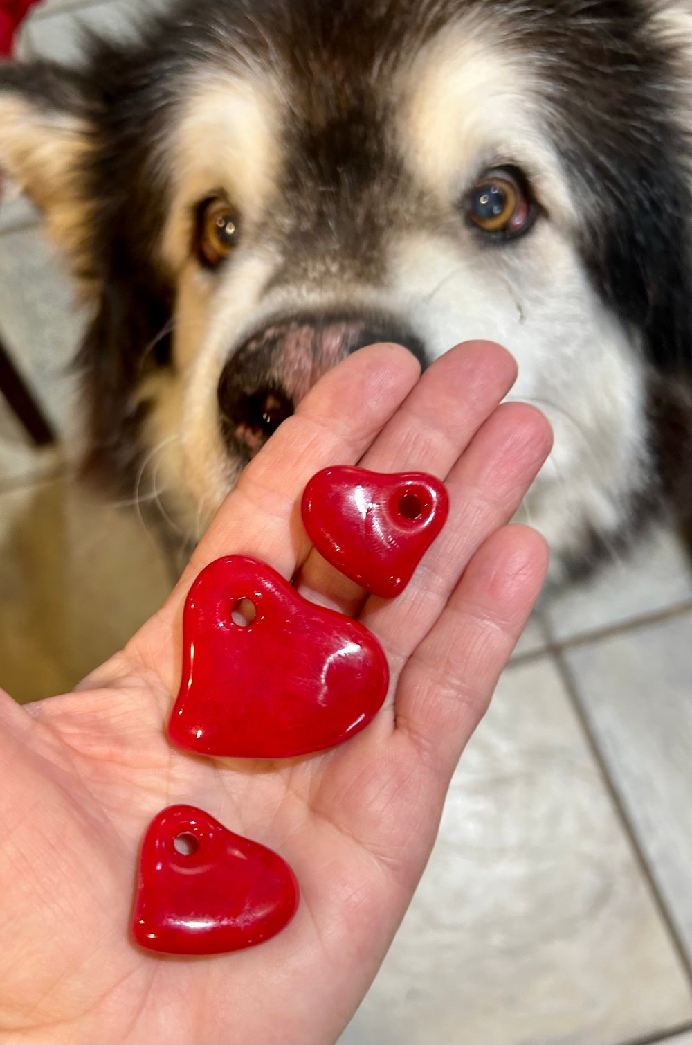 Image of HEARTS ❤️🧡💛💚💙💜