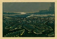 Sturgeon Aggregation - Wood Engraving Reduction