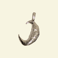 Image 1 of Moon Charm