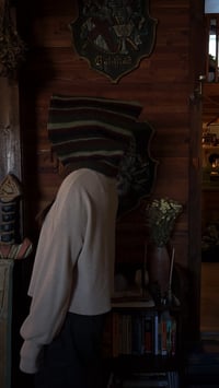 Image 3 of gnome hood #7