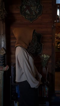 Image 4 of gnome hood #7