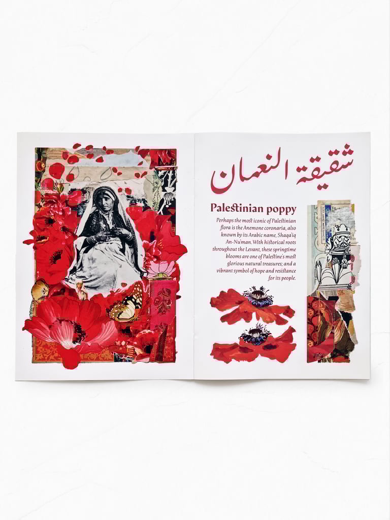 ‘wildflowers of palestine’ collage art zine – all profits go to charity! Image 2