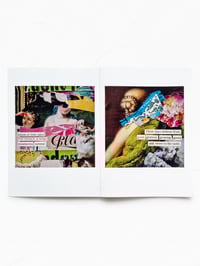 Image 3 of ‘hidden gems’ mini zine – ‘fruits of the desert’ haiku collage portraits