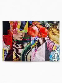 Image 2 of ‘hidden gems’ mini zine – ‘fruits of the desert’ haiku collage portraits