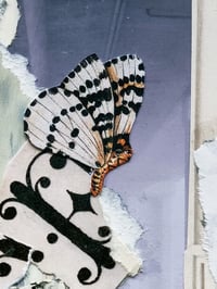 Image 3 of februllage studio originals, day eight: ‘concrete’