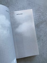 Image 2 of VIVONO. ARTE E AFFETTI, HIV-AIDS IN ITALIA. 1982-1996. Reader