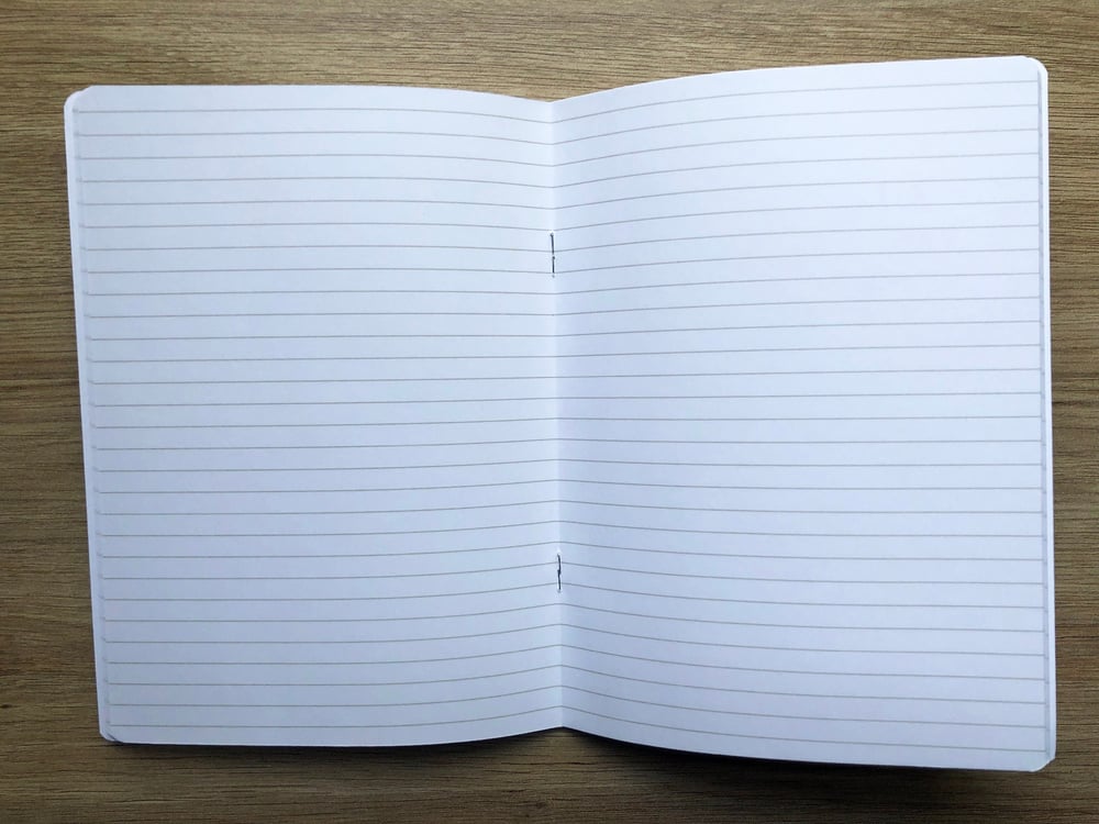 Image of Fanfiction: A Salinger-Inspired Notebook