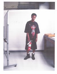 Image 3 of Carnival T