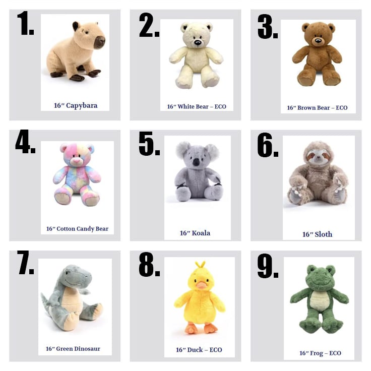 Image of READING BUDDY "BUILD YOUR OWN STUFFED ANIMAL"