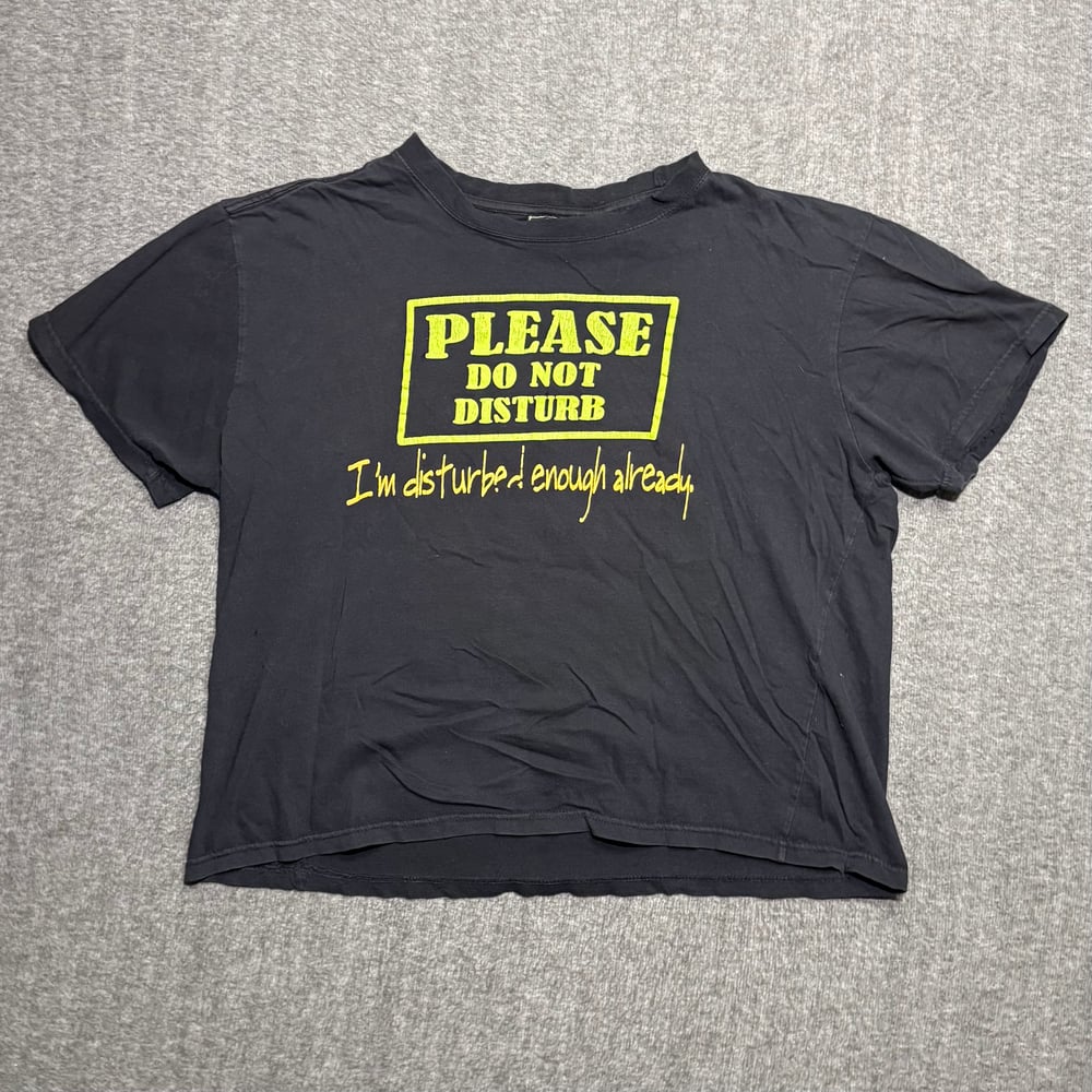 Image of 2000s Please Do Not Disturb Humor Graphic  Tee (L)