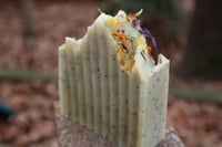 Spring Forage Soap (Limited Edition)