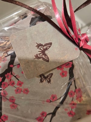 Image of Feathers and Wings