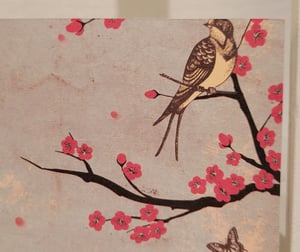 Image of Feathers and Wings