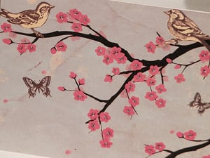 Image of Feathers and Wings