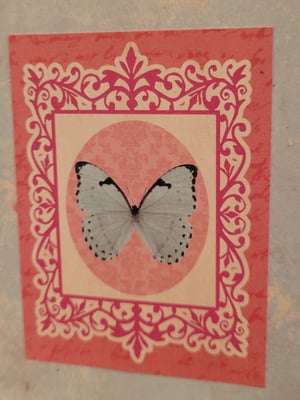 Image of Feathers and Wings