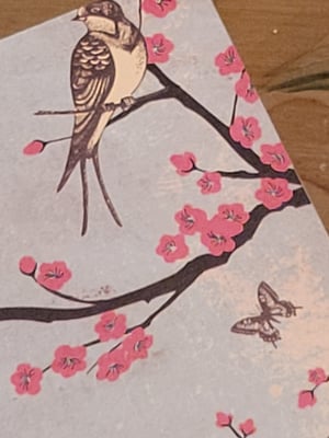 Image of Feathers and Wings