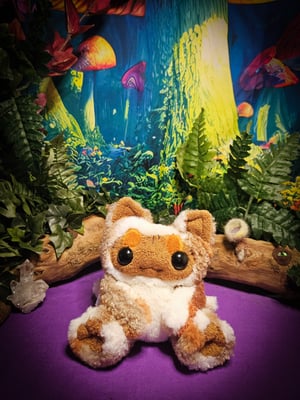 Three Tailed Foxling! A)