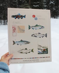 Image 2 of Salmon of the Yukon River