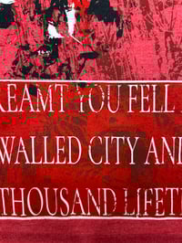 Image 3 of Meat Shirt by Kem C