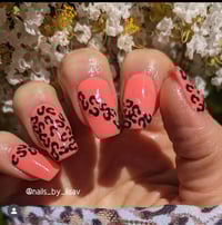 Image 5 of CORAL FEVER