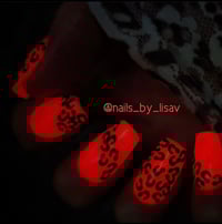 Image 8 of CORAL FEVER