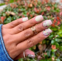 Image 7 of SHERBET PUNCH