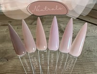 Image 3 of CHANTILLY CREAM