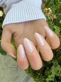 Image 8 of MILK & HONEY