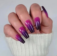 Image 1 of YOU GOT PUNKED