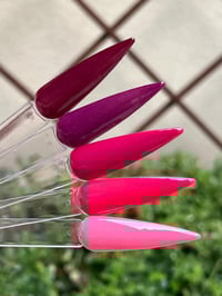 Image 10 of FINE AS WINE