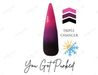 Image 3 of YOU GOT PUNKED