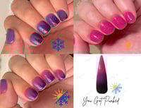 Image 4 of YOU GOT PUNKED