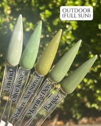 Image 4 of OLIVE JUICE