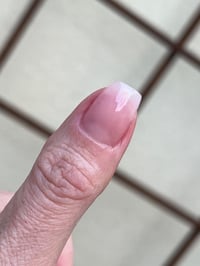 Image 1 of PALM ROYALE