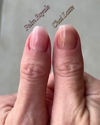 Image 2 of PALM ROYALE