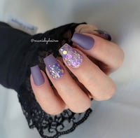 Image 8 of ENCHANTED