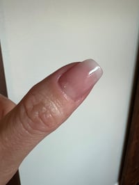 Image 4 of PALM ROYALE