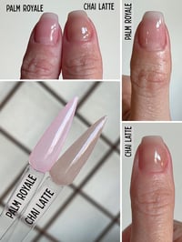 Image 5 of PALM ROYALE