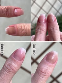 Image 6 of PALM ROYALE