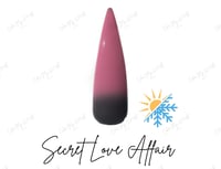Image 3 of SECRET LOVE AFFAIR