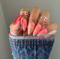 Image 1 of BAHAMA MAMA