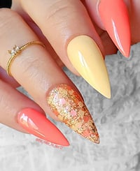 Image 9 of BAHAMA MAMA